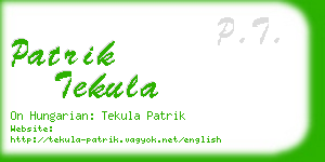 patrik tekula business card